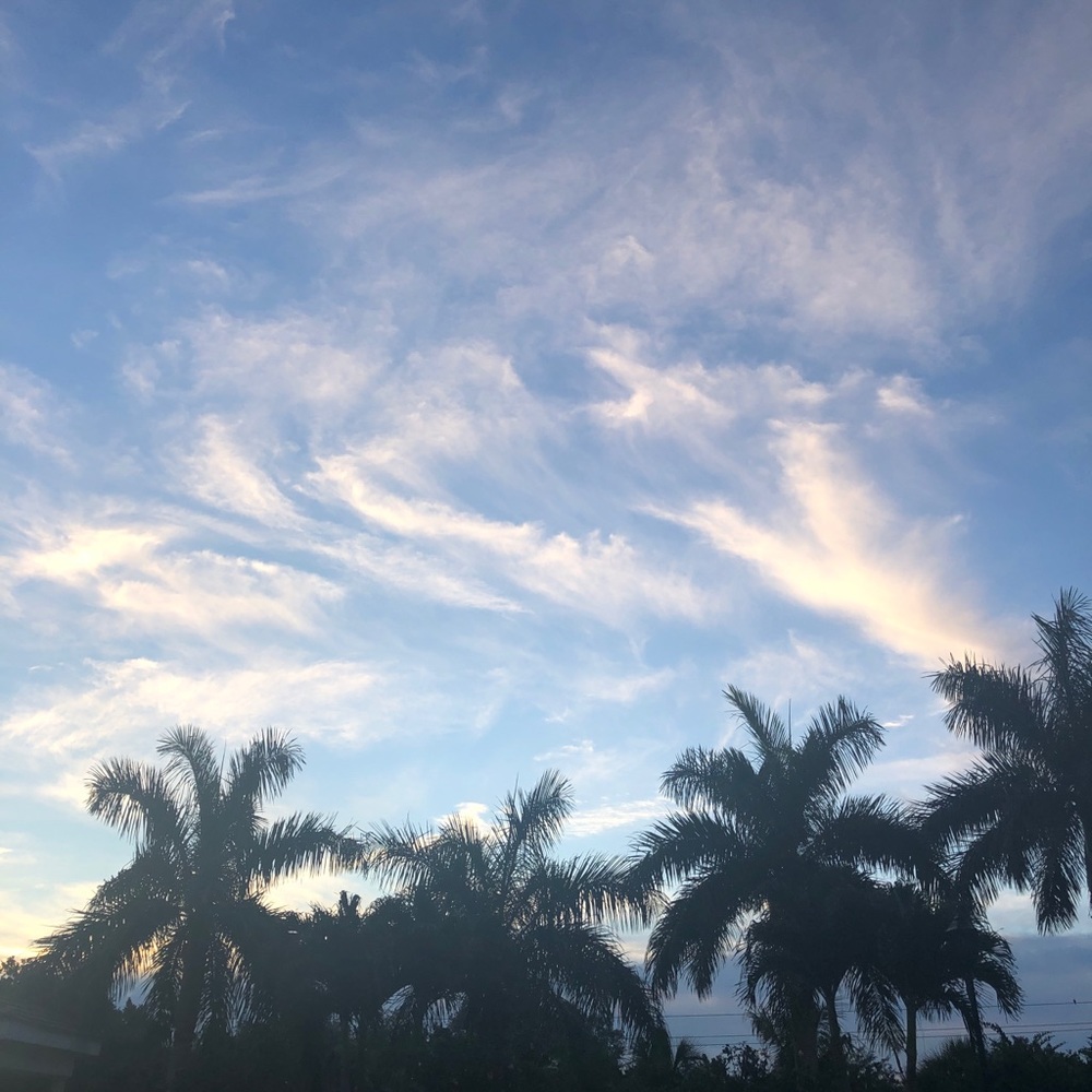 Meet your Posher, Tasia